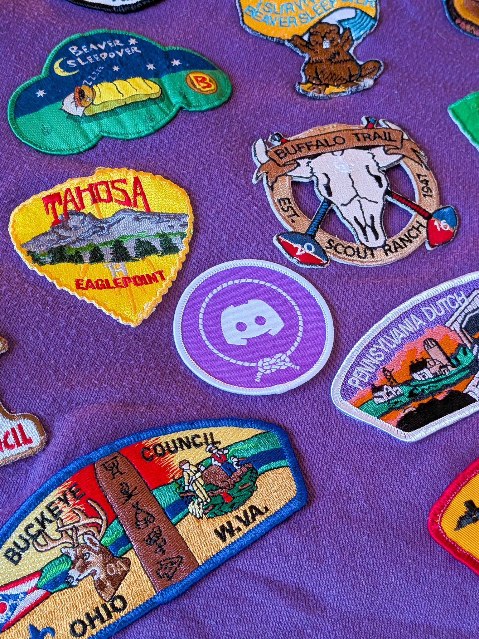 DST Badge | Online Scouting | Scouter